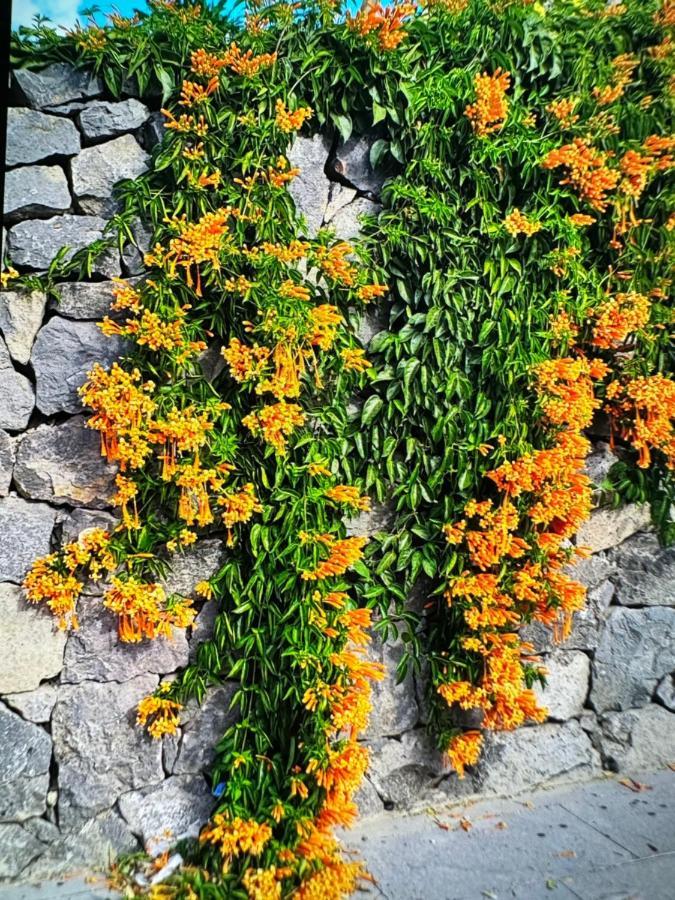 Splendid Star Tenerife 산미겔데아보나 외부 사진